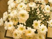 Top Blatten bei Naters