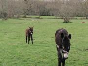 Top Saint-Vivien-de-Médoc