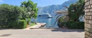 Top Kotor