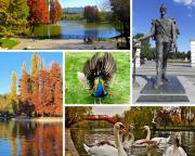 Top Bucharest