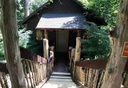 Top Eureka Springs