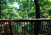 Top Eureka Springs