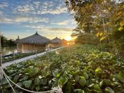 Top Surat Thani