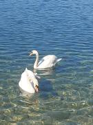 Top Ohrid
