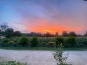 Top Pai
