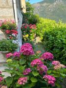 Top Santa-Lucia-di-Tallano