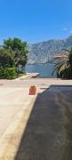 Top Kotor