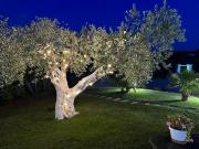 Top Ostuni