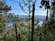 Top Vichuquén Top Vichuquén