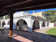 La Babbaiola di Torre delle Stelle