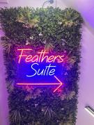 Feathers Suite