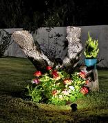 Top San Agustín de Valle Fértil