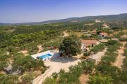 Family friendly house with a swimming pool Pucisca, Brac - 21243