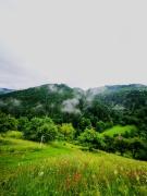 Apuseni Glamping Retreat