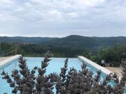 Top Buzet