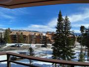 Top Silverthorne