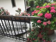 Top Bovec