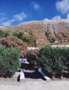 Top Vulcano Top Vulcano