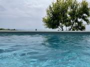 Top Monforte dʼAlba