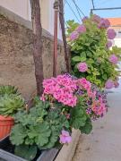 Apartman Gallery Freya