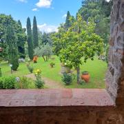 Top Reggello