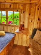 Top Lukovica pri Domžalah