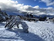 Chalet Hotham 3
