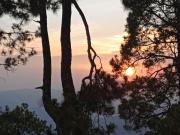 Top Almora