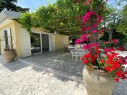 Top Piedimonte Etneo Top Piedimonte Etneo