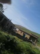 Top Fattoria Spedaletto