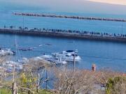 Top San Martin del Mar