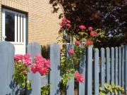 Großes, einzeln stehendes Ferienhaus "Undine", ruhige Lage, Terrasse, Parkplatz, Fahrradhäuschen abschließbar, Nähe zur Altstadt und 600 m zum Müritz - Strand