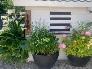 Top Saint-Aubin-sur-Mer