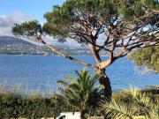 Top Saint-Tropez Top Saint-Tropez