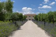 Top Narni