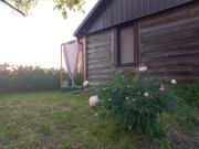 Top Kolonia Szpaki Top Kolonia Szpaki