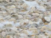 Apartment with 2 terrace