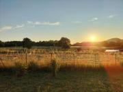 Top Étival-Clairefontaine