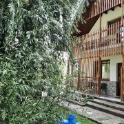 Top Chłopy Top Chłopy