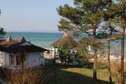 Top Binz