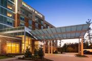 Top The Woodlands