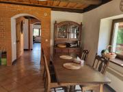 Top Nowa Sól Top Nowa Sól