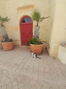 East Breeze Penthouse