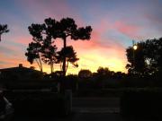 Arcachon Villa aux Abatilles