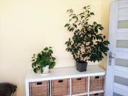 Top Kierzkowo Top Kierzkowo