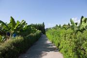 Top Paphos City