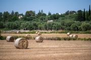 Top Ostuni