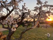 Le Clos dEstellan - Piscine chauffée