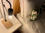 Top Mondariz-Balneario