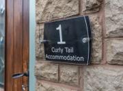 Curly Tail Accommodation
